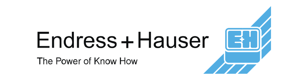 Endress+Hauser